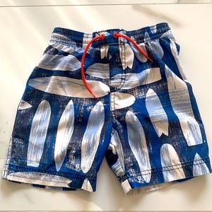 Tea Collection Size 4 Boys Bathing Suit Trunks
